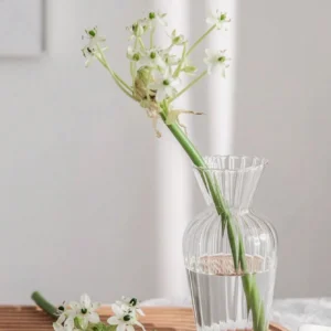 Vase fleur - Fleur éthérée